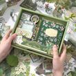 Набір матеріалів для скрапбукінгу SIMNO Рослини 181 шт 18x23 см