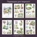 Переводки для творчества Have a good day Цветочный сад 5 шт 7х10 см (MHD-MNHY003)