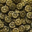 Сургуч Flowers Темно зеленый 100 шт