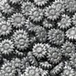 Сургуч Flowers Срібло 100 шт
