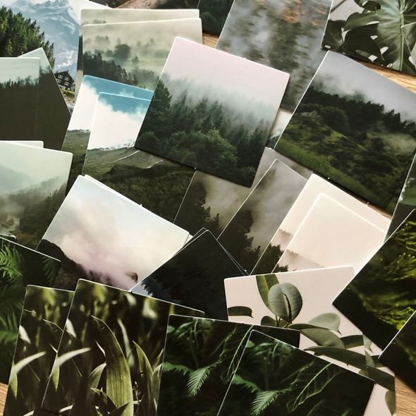 Набор стикеров картинок Хвойный лес 46 штук 4х4 см (ENM20210924)