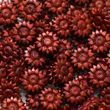 Сургуч Flowers Shining Wine 100 шт (WAX-100-53)
