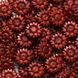 Сургуч Flowers Shining Wine 100 шт (WAX-100-53)