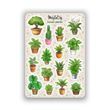 Сет наклеек MriyTaDiy House Plants 10х15 см