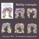 Набор стикеров Have a good day Цветочная арка 10 шт (MHD-HMYS001)
