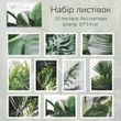 Набір листівок Have a good day Естетика рослин 10 шт 10х14 см (HGD-ALTD004)