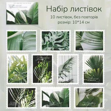 Набір листівок Have a good day Естетика рослин 10 шт 10х14 см (HGD-ALTD004)