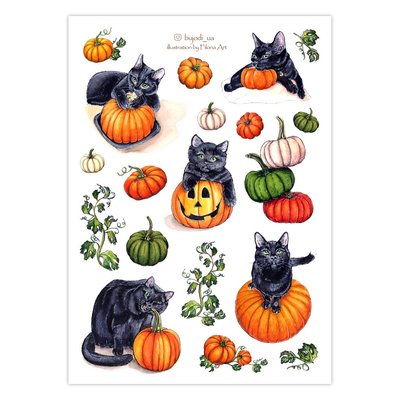 Сет стикерів для щоденника BUJODI Pumpkins 17х12 см