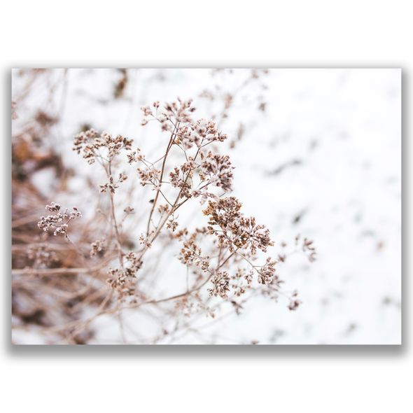 Открытка Nomad Post Winter Flowers 10х15 см