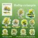 Набор стикеров Have a good day Green shadow white brirch court 20 шт (MHD-BHSL005)