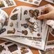 Стикербук 50 листов SIMNO Ковбои 14х21 см