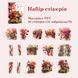 Набір стікерів Have a good day Maple Leaf Corner 30 шт (MHD-HYYJ002)