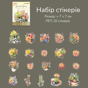 Набор стикеров Have a good day Солнечные суккуленты 20 шт (MHD-DRXJ-002)
