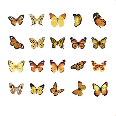 Набор стикеров ПВХ на прозрачной основе 40 шт Amber Butterfly 90x105 мм (ZRBWG-16-14)