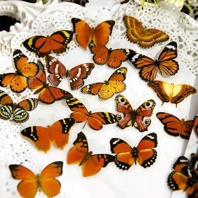 Набор стикеров Mr. Рaper Оранжевые бабочки 45 шт (MG064-0435)