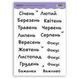 Сет стикеров BuJoBox Месяца 15х21 см
